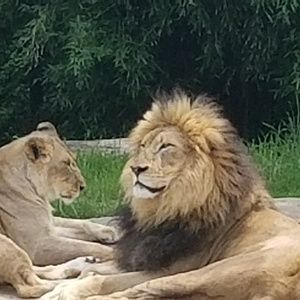 Meet your Posher, Chester